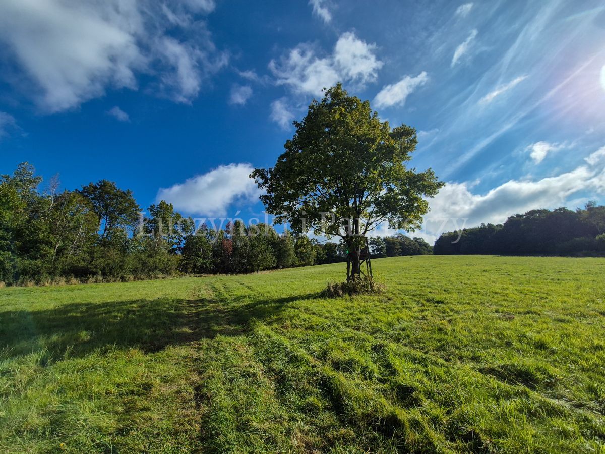 Działka rolna Wojcieszów. Zdjęcie 7