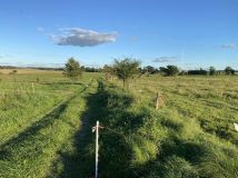 Działka budowlana Jeziorowskie, Jeziorowskie. Zdjęcie 4