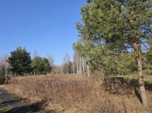 Działka rolno-budowlana Leontyna, ul. Parkowa. Zdjęcie 4