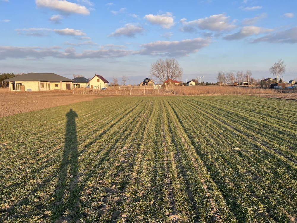 Działka budowlana Probostwo Dolne. Zdjęcie 5