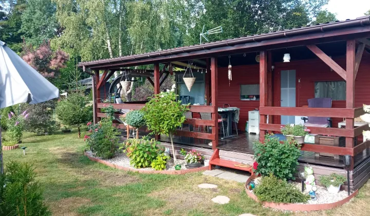 Działka rod Grochowa, ul. Zbigniewa Pawlaka