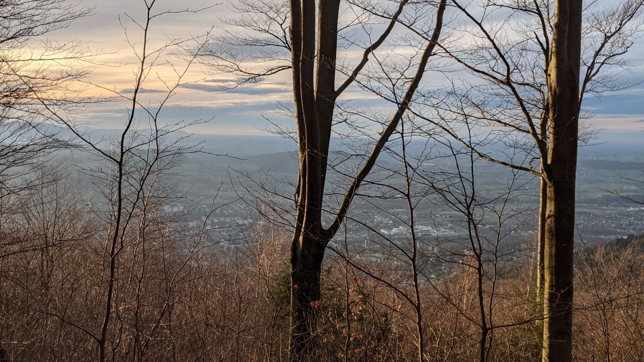 Działka inwestycyjna Ustroń, ul. Równica. Zdjęcie 8