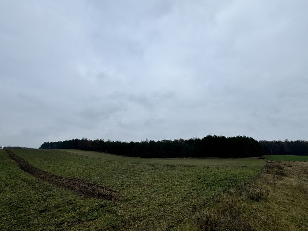 Działka budowlana Zaborowo. Zdjęcie 3