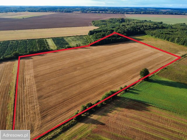 Działka rolna Kierzkowo. Zdjęcie 1