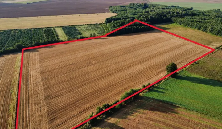 Działka rolna Kierzkowo