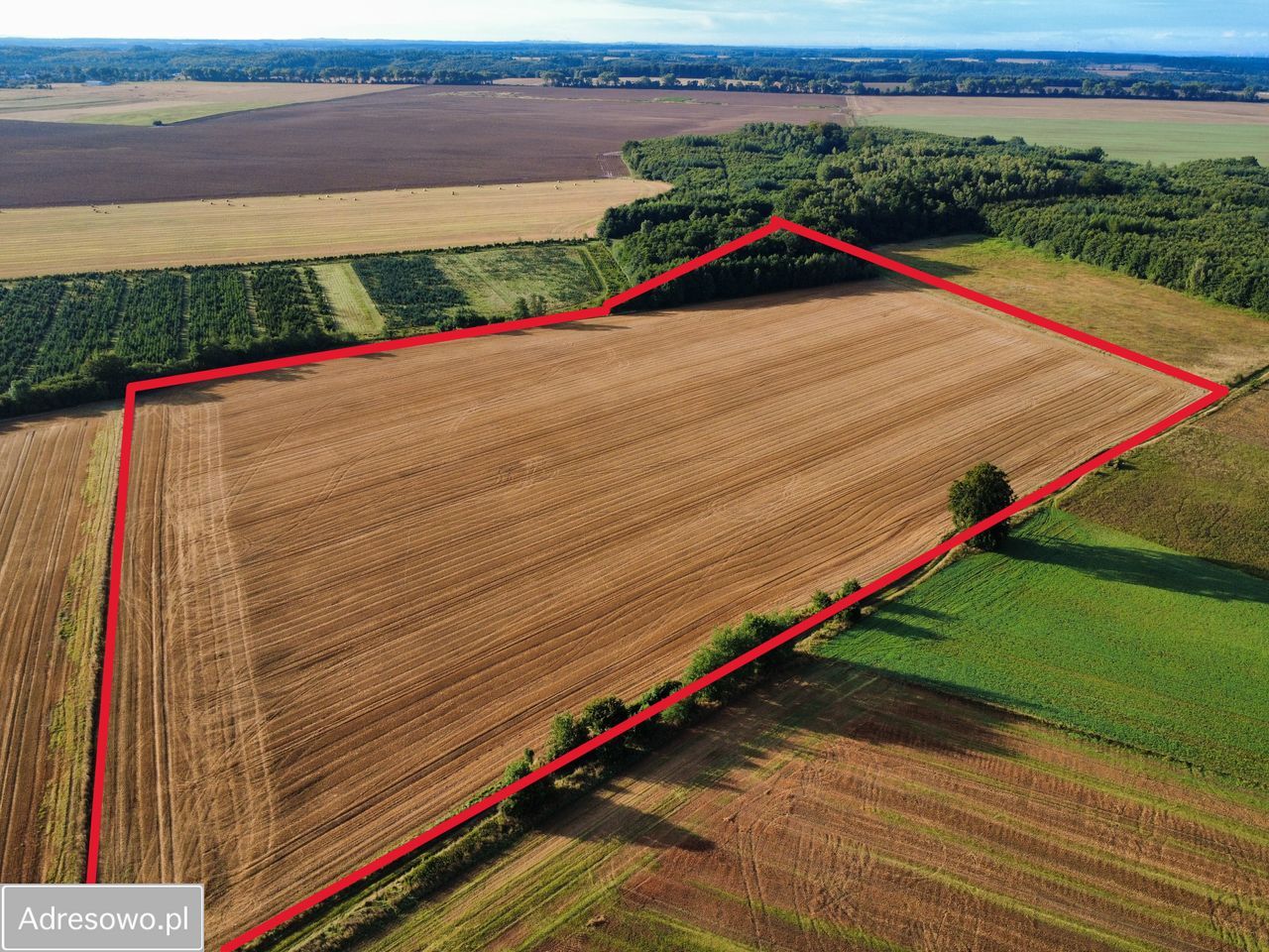 Działka rolna Kierzkowo