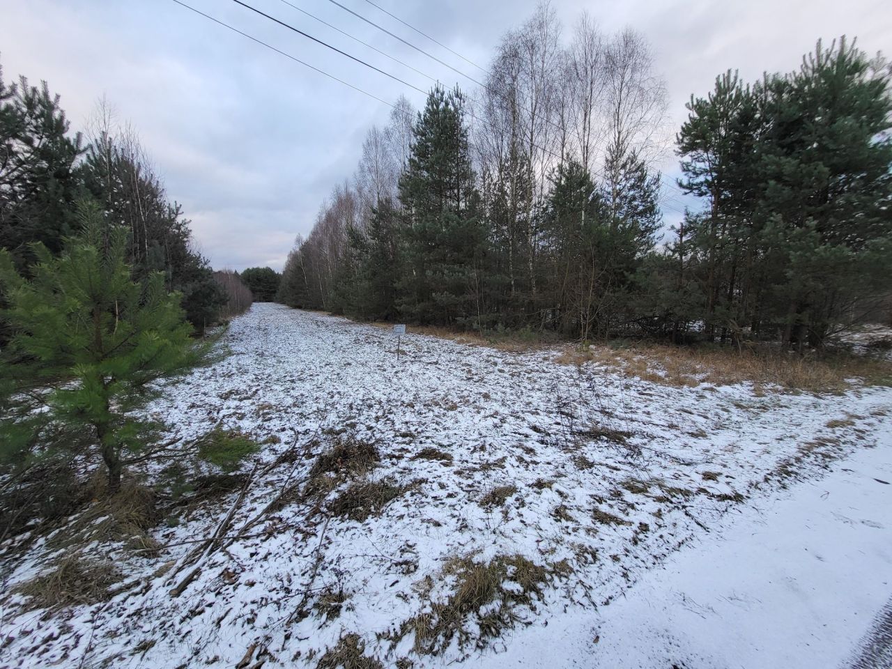 Działka rolna Zbijów Mały. Zdjęcie 6