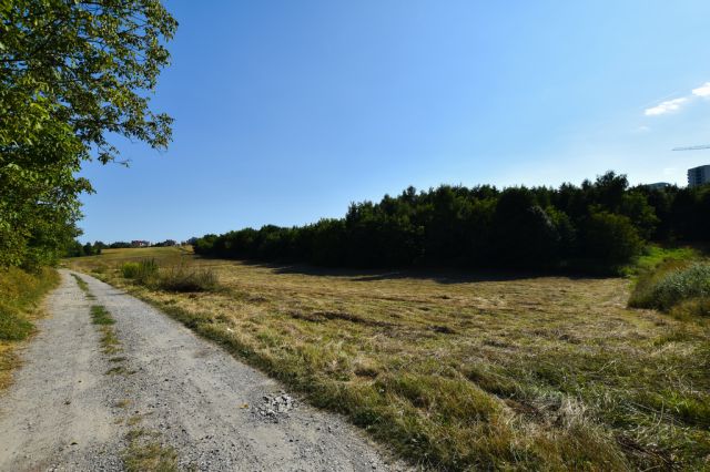 Działka budowlana Rzeszów Wilkowyja, ul. Marcina Filipa. Zdjęcie 1