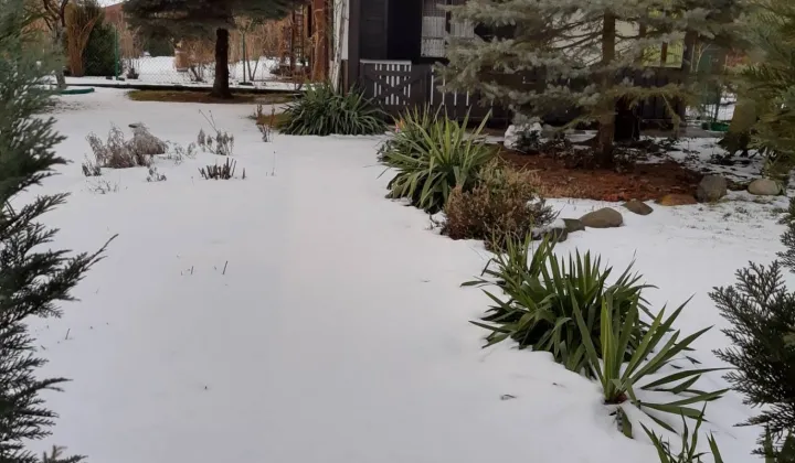 Działka rod Wola Mrokowska, ul. Ogrodowa