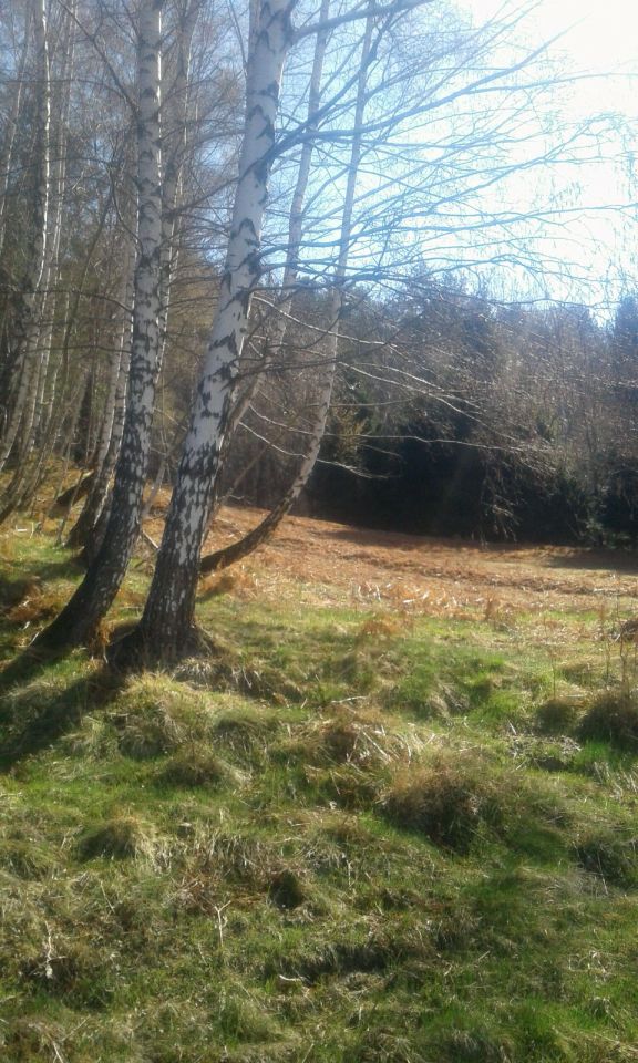 Działka budowlana Wilkowice Huciska, ul. Kurkowa