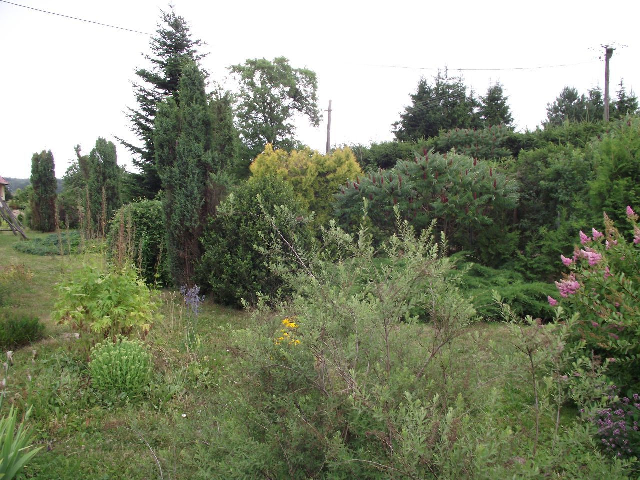 gospodarstwo, 6 pokoi Węgorzewo. Zdjęcie 8