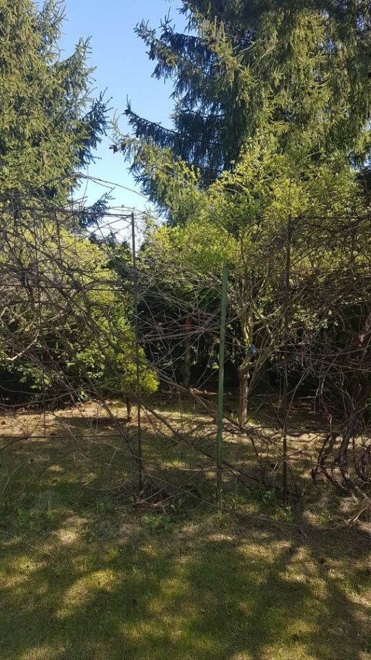 Działka rod Sokolniki. Zdjęcie 4