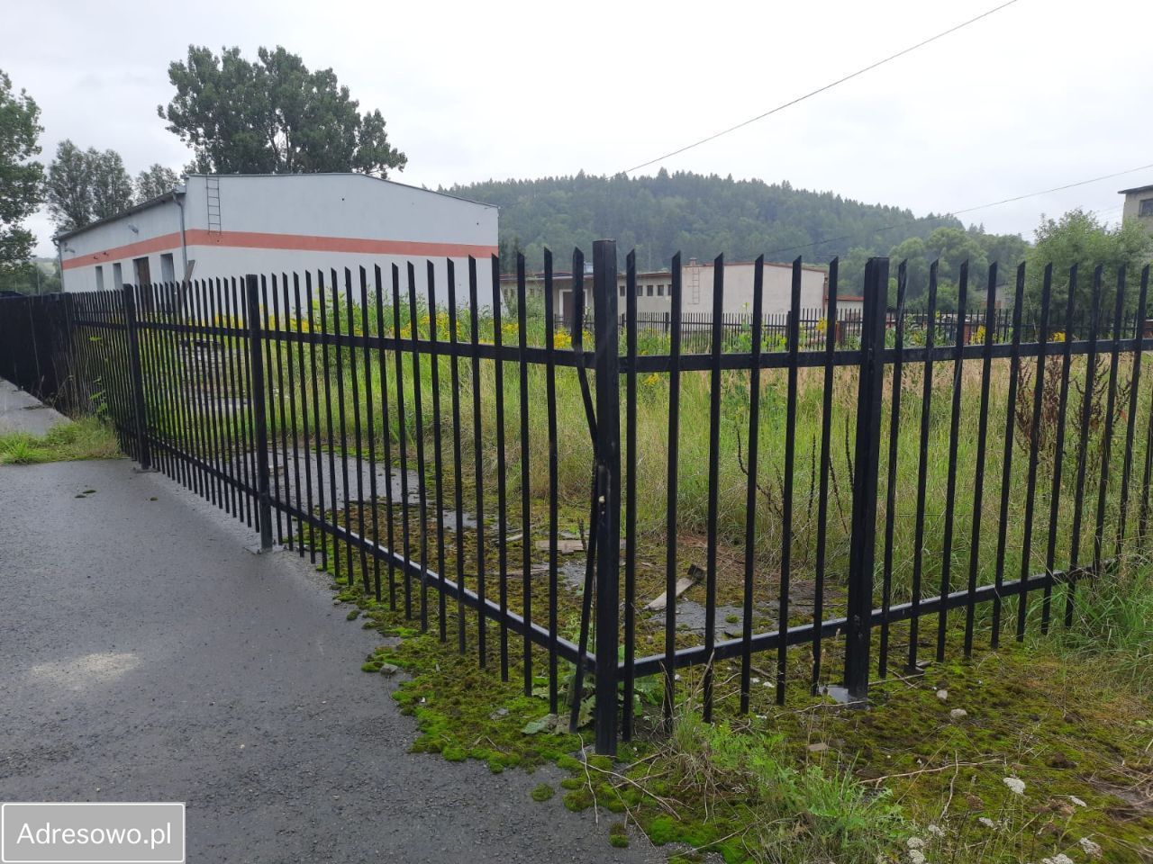 Hala/magazyn Kamienna Góra, ul. Zielona. Zdjęcie 13