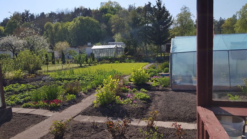 Działka rod Piła, ul. Koszalińska. Zdjęcie 3