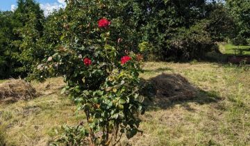 Działka rod Gdańsk Orunia