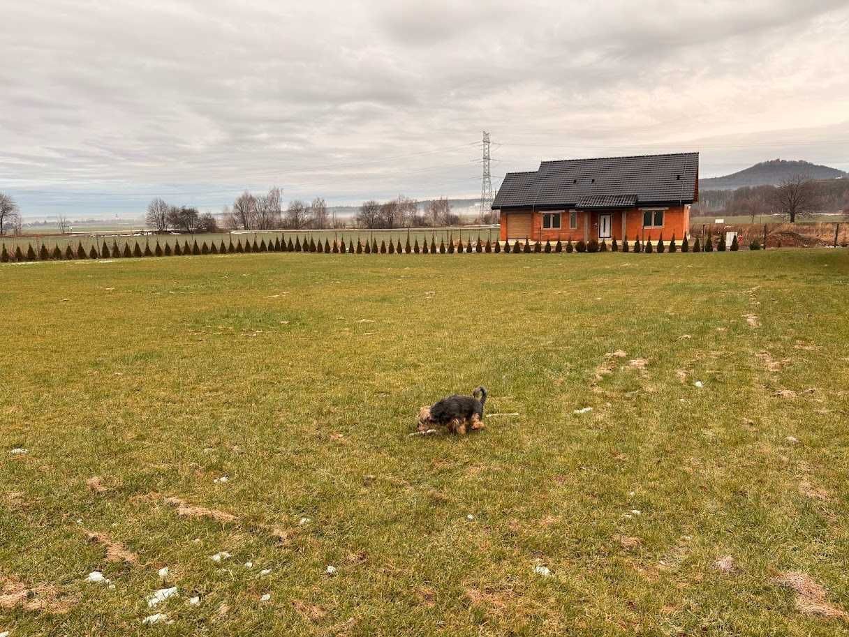 Działka budowlana Nowa Wieś Grodziska. Zdjęcie 2