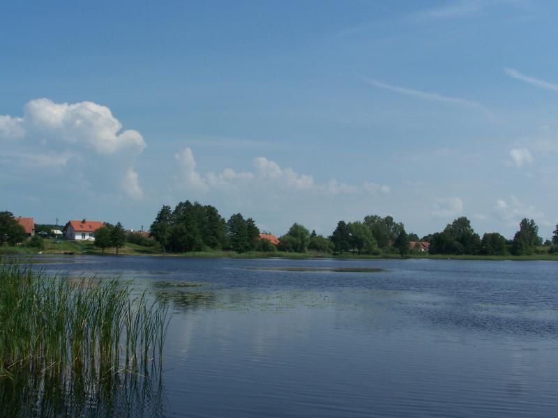 Działka rolno-budowlana Węgój. Zdjęcie 1