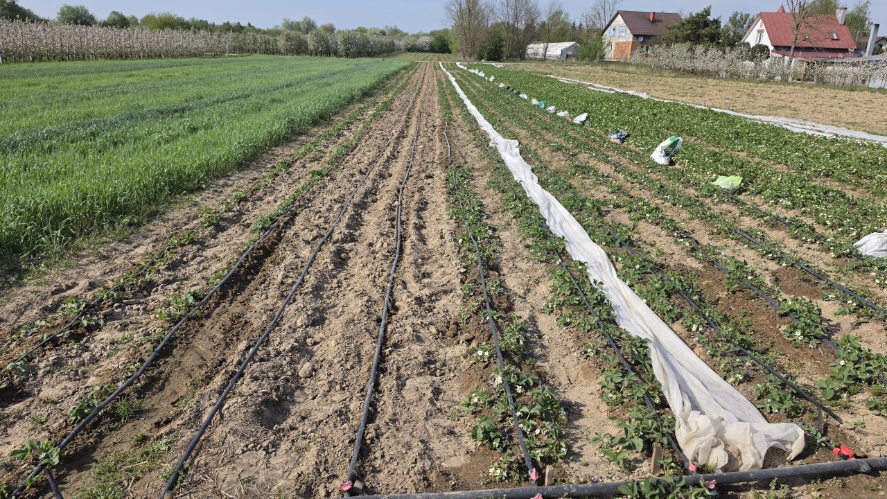 Działka rolna Mniszew. Zdjęcie 3