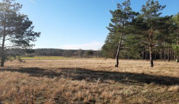 Działka siedliskowa Bukowiny