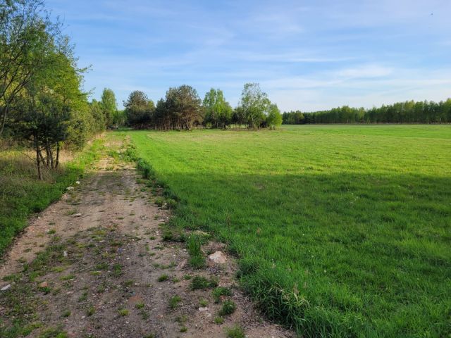 Działka budowlana Ludwinów. Zdjęcie 1