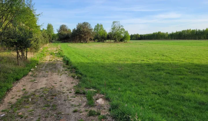 Działka budowlana Ludwinów