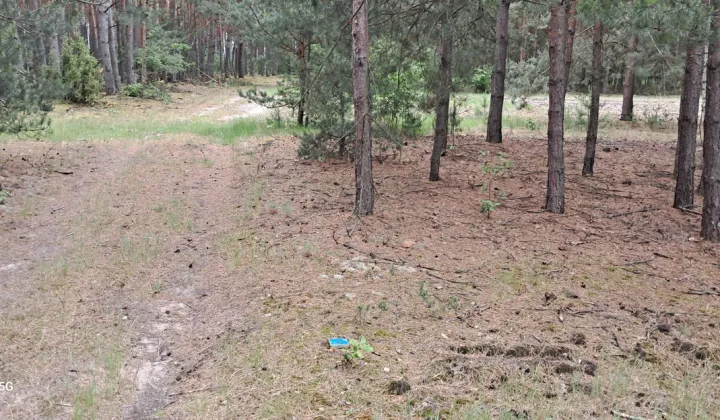 Działka rekreacyjna Podmieście