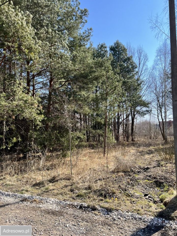 Działka budowlana Szczęsne, ul. Szpacza. Zdjęcie 4