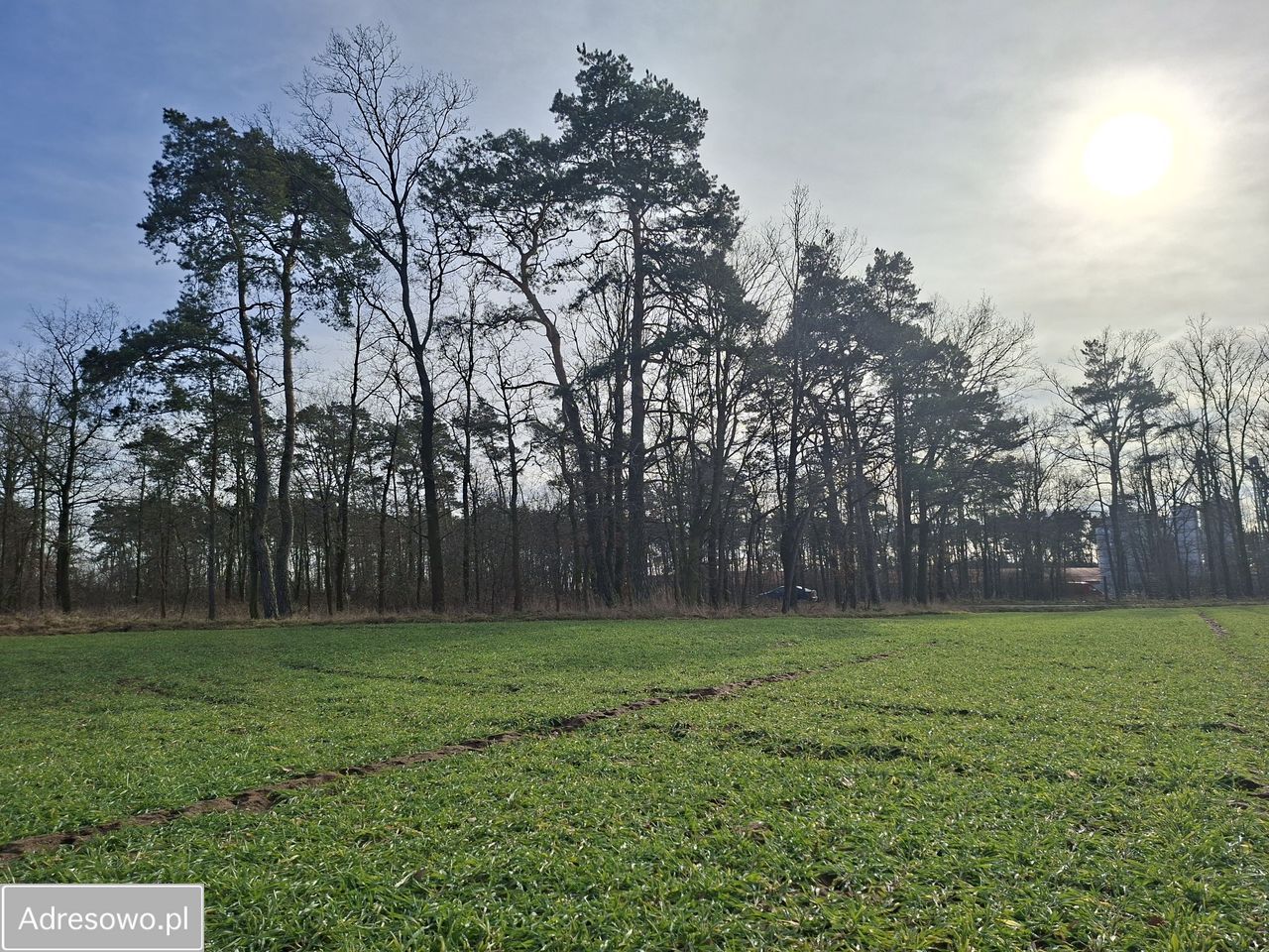 Działka rolna Zawada, ul. Luboszycka. Zdjęcie 11