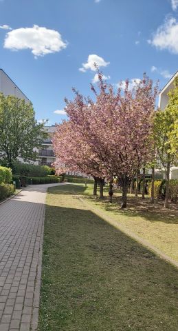 Mieszkanie 3-pokojowe Warszawa Targówek, ul. Zamkowa. Zdjęcie 14