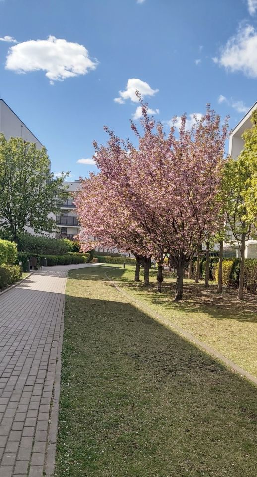 Mieszkanie 3-pokojowe Warszawa Targówek, ul. Zamkowa. Zdjęcie 14