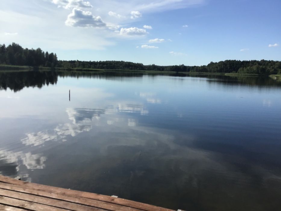 Działka rolna Stare Kiełbonki. Zdjęcie 4