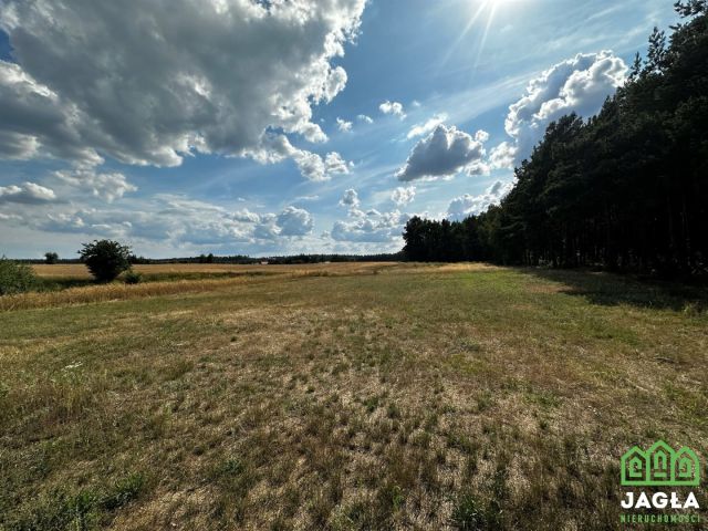 Działka budowlana Stary Jasiniec. Zdjęcie 3