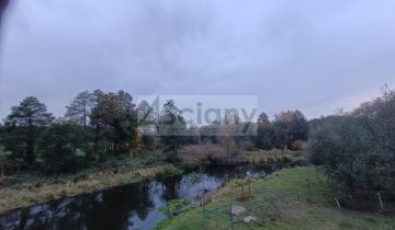 dworek, 10 pokoi Radzimowice