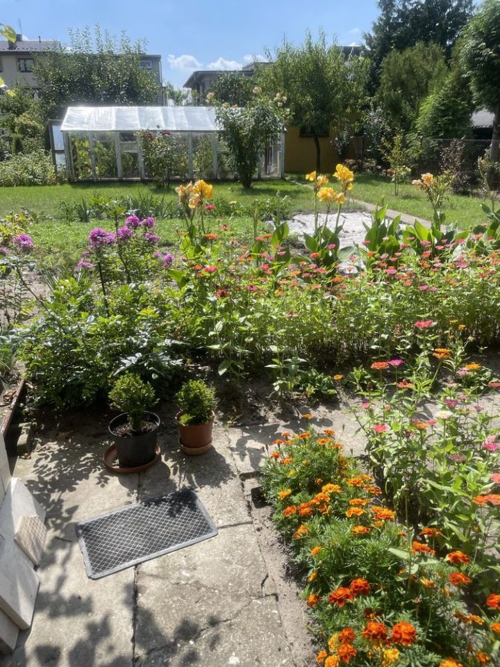 bliźniak Busko-Zdrój Centrum, ul. Jagiellońska. Zdjęcie 5