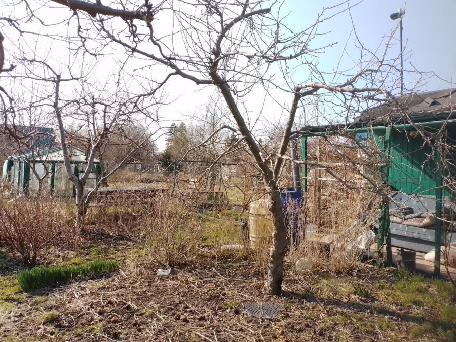 Działka rod Gdańsk Olszynka, ul. Listki