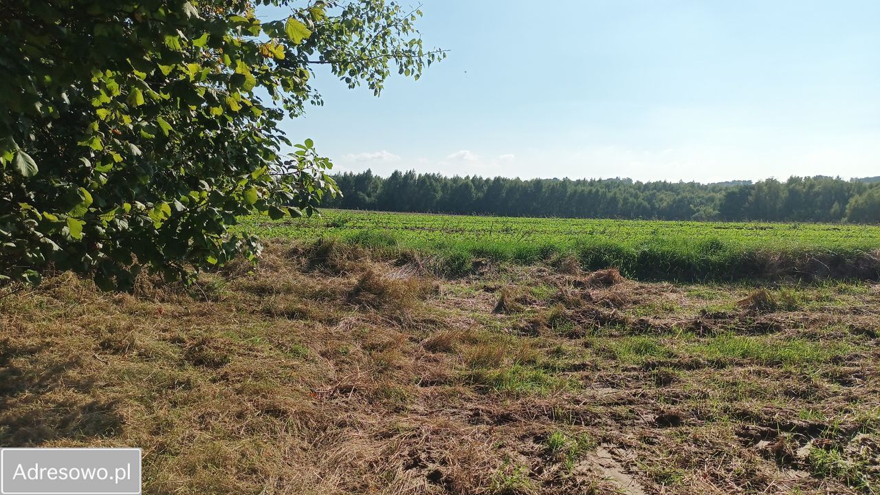 Działka rolno-budowlana Przybysławice. Zdjęcie 5