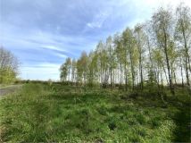 Działka rolna Piwonin. Zdjęcie 1