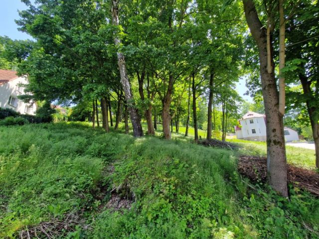Działka budowlana Świeradów-Zdrój, ul. Lipowa. Zdjęcie 4