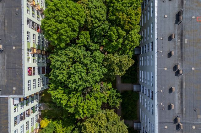 Mieszkanie 3-pokojowe Warszawa Sadyba, ul. Jana III Sobieskiego. Zdjęcie 16