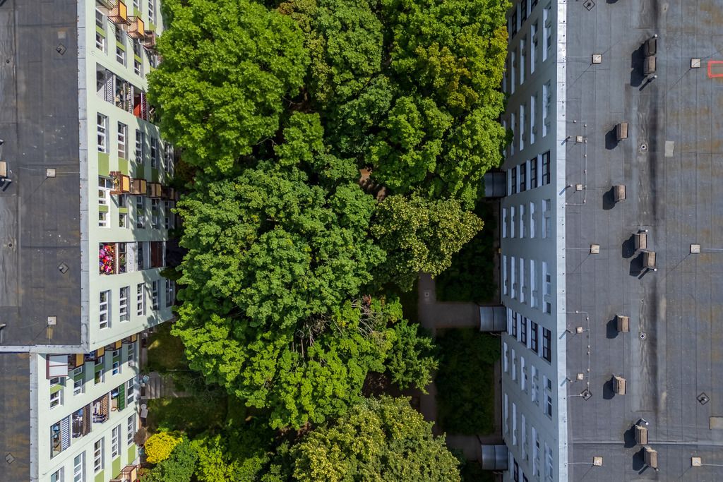 Mieszkanie 3-pokojowe Warszawa Sadyba, ul. Jana III Sobieskiego. Zdjęcie 16