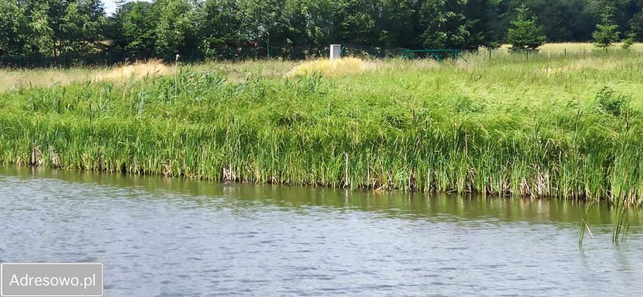 Działka budowlana Brzeźno. Zdjęcie 5