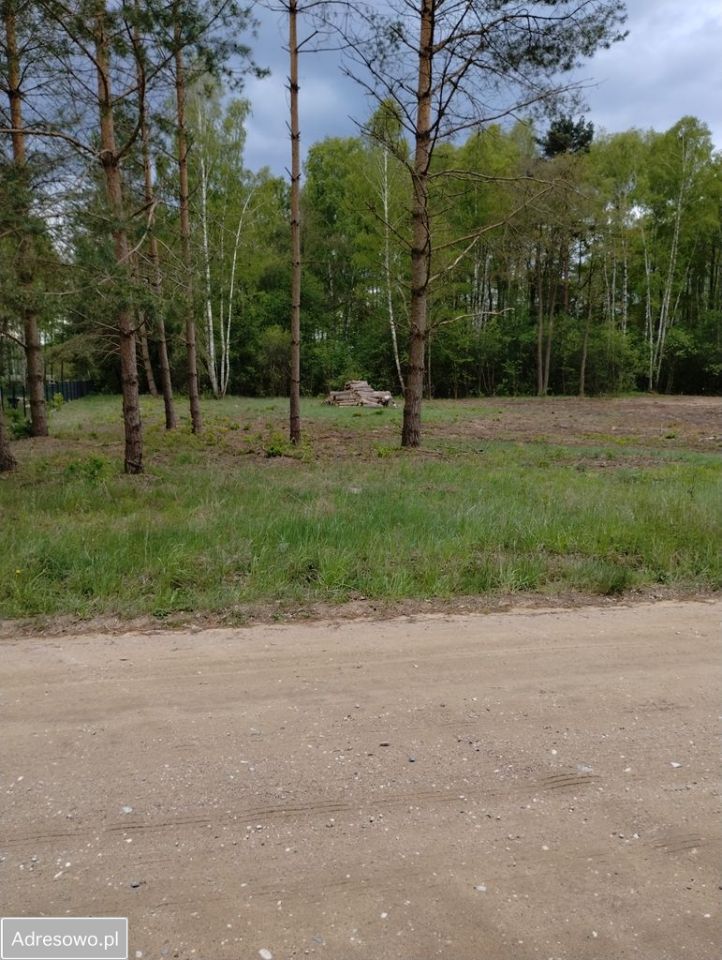 Działka budowlana Rogowo. Zdjęcie 2