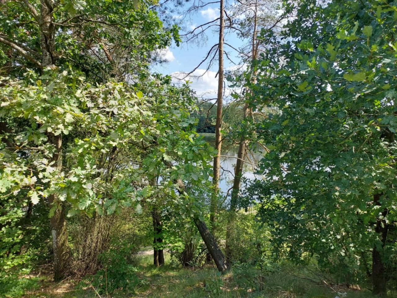 Działka budowlana Machliny. Zdjęcie 6