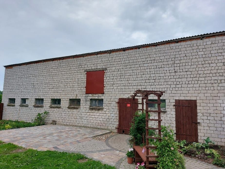 gospodarstwo, 6 pokoi Radzyń-Wybudowanie. Zdjęcie 11