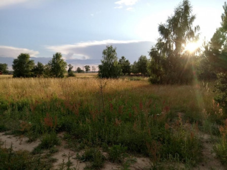 Działka rekreacyjna Narty