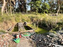 Działka rolno-budowlana Owczegłowy. Zdjęcie 4