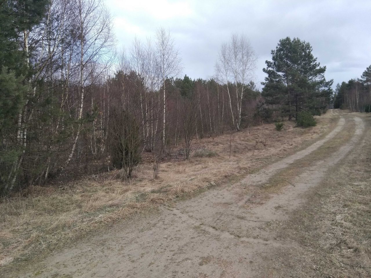 Działka rekreacyjna Gostomie. Zdjęcie 4