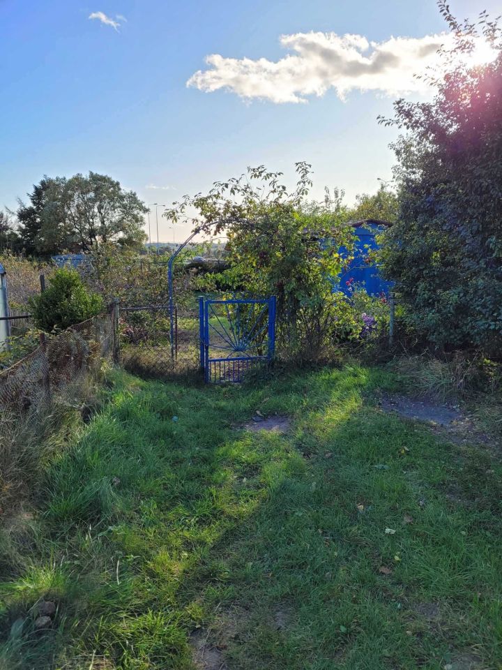 Działka rod Gdańsk Brętowo, ul. mjr. Mieczysława Słabego. Zdjęcie 5