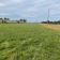 Działka rolna Kraczkowa Działy Zachodnie. Zdjęcie 2