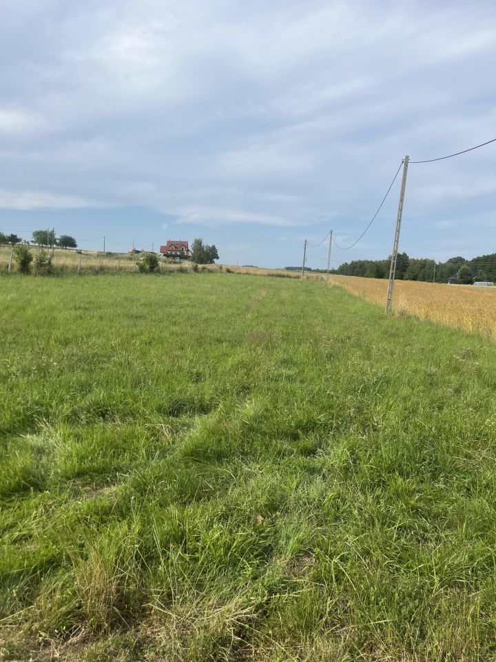 Działka rolna Kraczkowa Działy Zachodnie. Zdjęcie 2